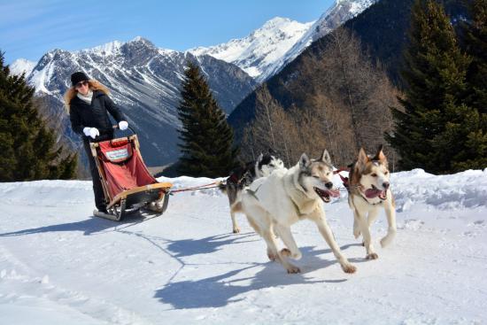 Centro Italiano Sleddog Husky Village
